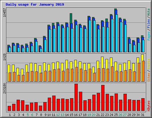 Daily usage for January 2019