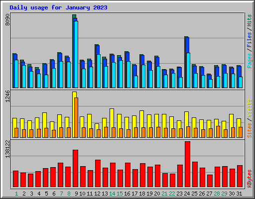 Daily usage for January 2023