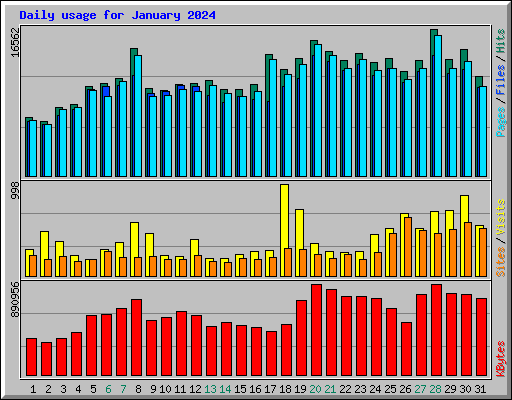 Daily usage for January 2024