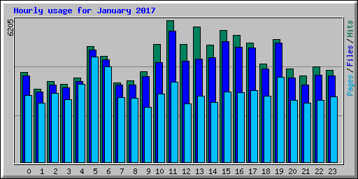 Hourly usage for January 2017