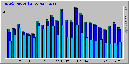 Hourly usage for January 2018