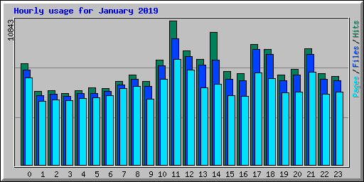 Hourly usage for January 2019