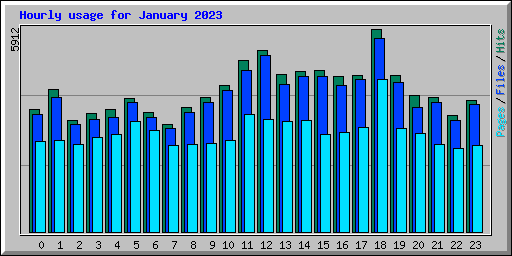 Hourly usage for January 2023