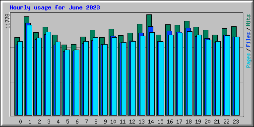 Hourly usage for June 2023