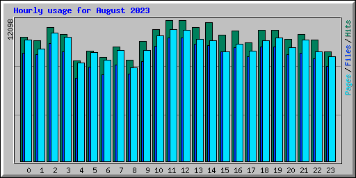 Hourly usage for August 2023