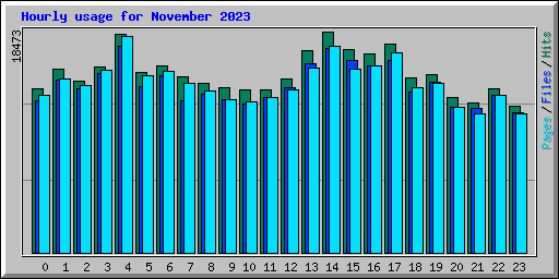 Hourly usage for November 2023