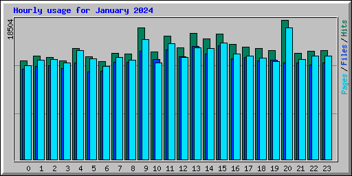 Hourly usage for January 2024