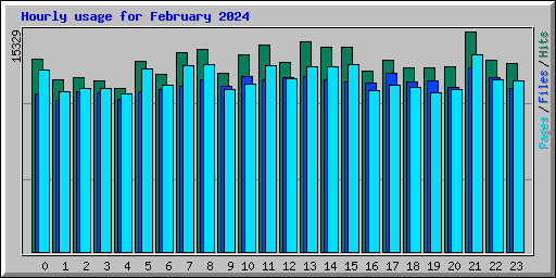 Hourly usage for February 2024