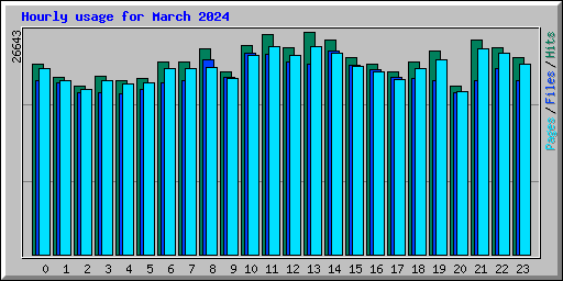 Hourly usage for March 2024