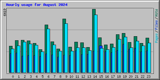Hourly usage for August 2024