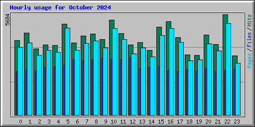 Hourly usage for October 2024