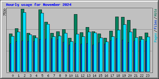 Hourly usage for November 2024