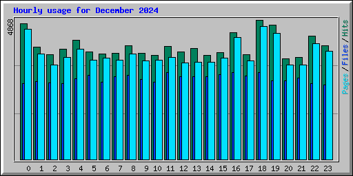 Hourly usage for December 2024