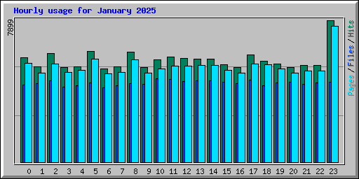 Hourly usage for January 2025