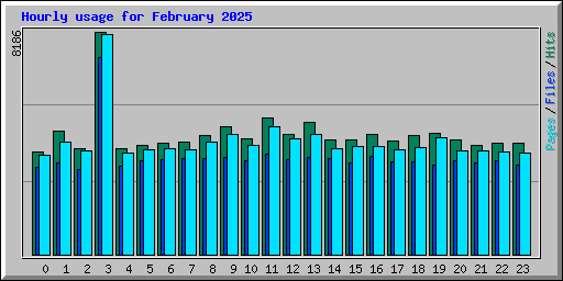 Hourly usage for February 2025