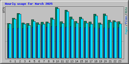Hourly usage for March 2025