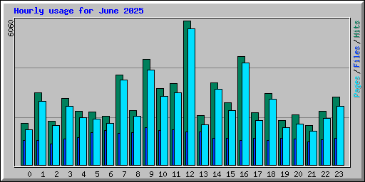 Hourly usage for June 2025